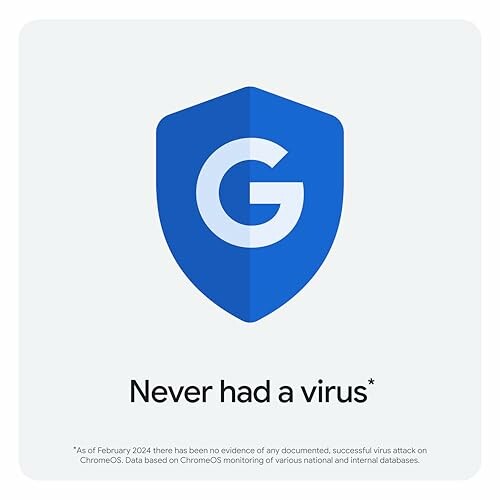 ChromeOS logo with text 'Never had a virus'.