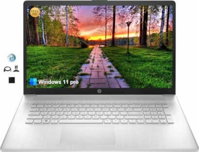 HP laptop with Windows 11 Pro displaying a scenic path through trees.