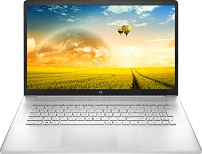 Laptop displaying a scenic view with hot air balloons.